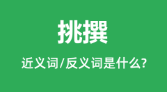 挑撰的近义词和反义词是什么_挑撰是什么意思?