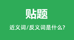贴题的近义词和反义词是什么_贴题是什么意思?