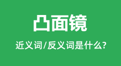 凸面镜的近义词和反义词是什么_凸面镜是什么意思?
