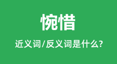 惋惜的近义词和反义词是什么_惋惜是什么意思?