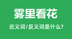 雾里看花的近义词和反义词是什么_雾里看花是什么意思?