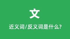 文的近义词和反义词是什么_文是什么意思?