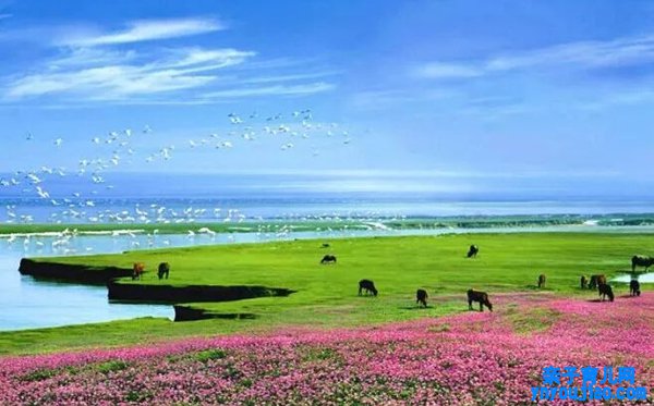 鄱阳湖怎么读,鄱阳湖读bo照旧po,鄱阳湖位于哪个省份