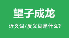 望子成龙的近义词和反义词是什么_望子成龙是什么意思?