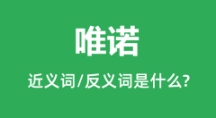 唯诺的近义词和反义词是什么_唯诺是什么意思?