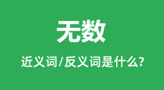 无数的近义词和反义词是什么_无数是什么意思?