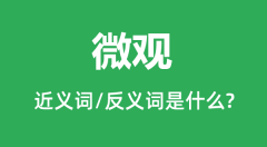 微观的近义词和反义词是什么_微观是什么意思?