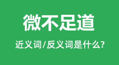 微不足道的近义词和反义词是什么_微不足道是什么意思?