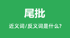 尾批的近义词和反义词是什么_尾批是什么意思？