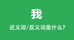 我的近义词和反义词是什么_我是什么意思？