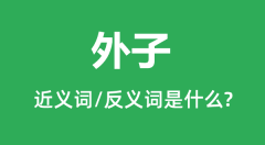 外子的近义词和反义词是什么_外子是什么意思?