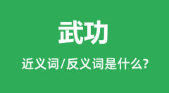 武功的近义词和反义词是什么_武功是什么意思?