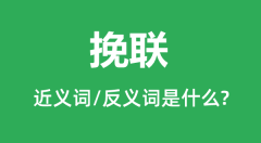 挽联的近义词和反义词是什么_挽联是什么意思?