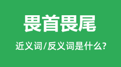 畏首畏尾的近义词和反义词是什么_畏首畏尾是什么意思?