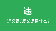 违的近义词和反义词是什么_违是什么意思?