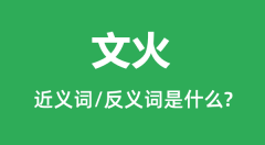 文火的近义词和反义词是什么_文火是什么意思?