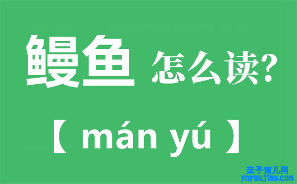 鳗鱼的读音,鳗字怎么读拼音是什么,鳗鱼的鳗为什么不读第四声