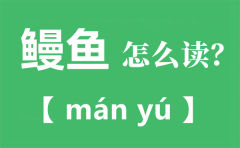 鳗鱼的读音_鳗字怎么读拼音是什么_鳗鱼的鳗为什么不读第四声?