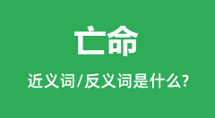 亡命的近义词和反义词是什么_亡命是什么意思?