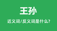 王孙的近义词和反义词是什么_王孙是什么意思?