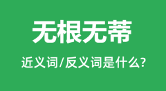 无根无蒂的近义词和反义词是什么_无根无蒂是什么意思?