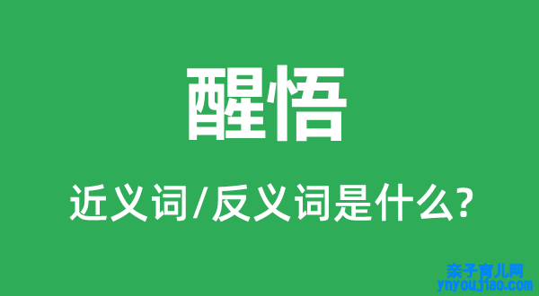 醒悟的近义词和反义词是什么,醒悟是什么意思
