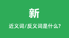 新的近义词和反义词是什么_新是什么意思?