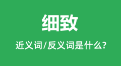 细致的近义词和反义词是什么_细致是什么意思?
