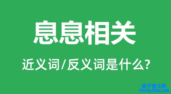 息息相关的近义词和反义词是什么,息息相关是什么意思