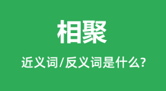 相聚的近义词和反义词是什么_相聚是什么意思？