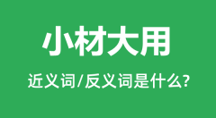 小材大用的近义词和反义词是什么_小材大用是什么意思?