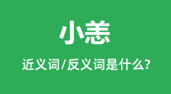 小恙的近义词和反义词是什么_小恙是什么意思？