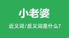<b>小老婆的近义词和反义词是什么_小老婆是什么意思?</b>