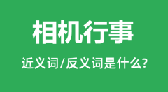 相机行事的近义词和反义词是什么_相机行事是什么意思?