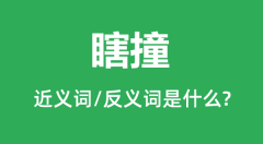 瞎撞的近义词和反义词是什么_瞎撞是什么意思?