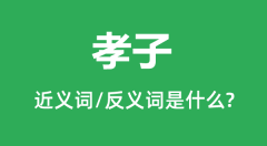 孝子的近义词和反义词是什么_孝子是什么意思?