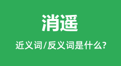 消遥的近义词和反义词是什么_消遥是什么意思?