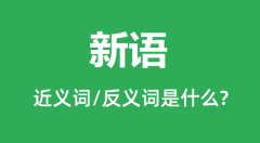 新语的近义词和反义词是什么_新语是什么意思?