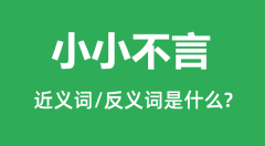 <b>小小不言的近义词和反义词是什么_小小不言是什么意思?</b>
