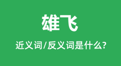 雄飞的近义词和反义词是什么_雄飞是什么意思?