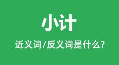 小计的近义词和反义词是什么_小计是什么意思?