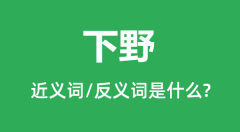 下野的近义词和反义词是什么_下野是什么意思?