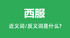 西服的近义词和反义词是什么_西服是什么意思?