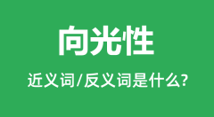 向光性的近义词和反义词是什么_向光性是什么意思?