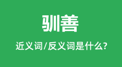 驯善的近义词和反义词是什么_驯善是什么意思?