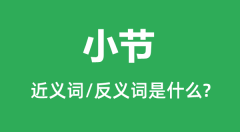 小节的近义词和反义词是什么_小节是什么意思?