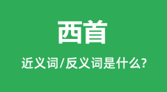 西首的近义词和反义词是什么_西首是什么意思?