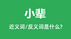 小辈的近义词和反义词是什么_小辈是什么意思？
