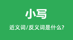 小写的近义词和反义词是什么_小写是什么意思?