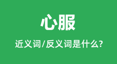 心服的近义词和反义词是什么_心服是什么意思?